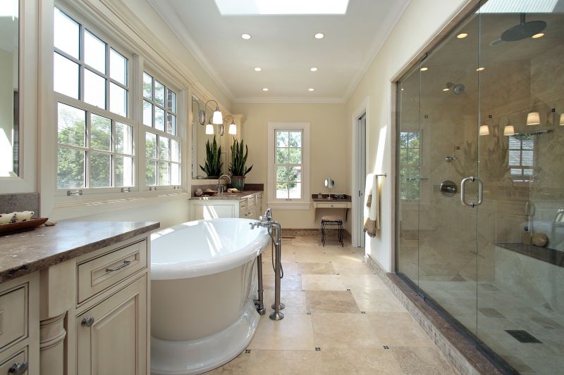 Elegant Shower and Tub Combination